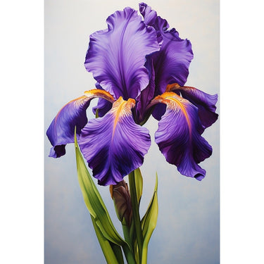 Purple Iris Flower canvas